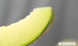 免费吃瓜视频 2022,年度热门娱乐盘点